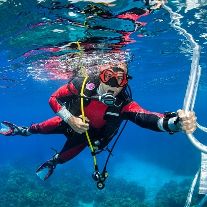 Scuba diving bvi snorkeling coral reefs