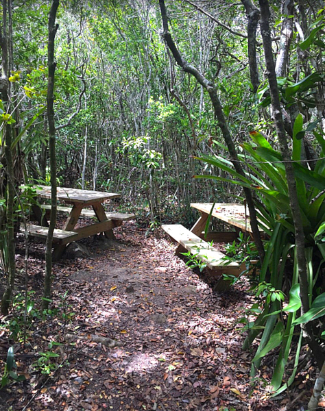 gorda peak national park virgin gorda bvi