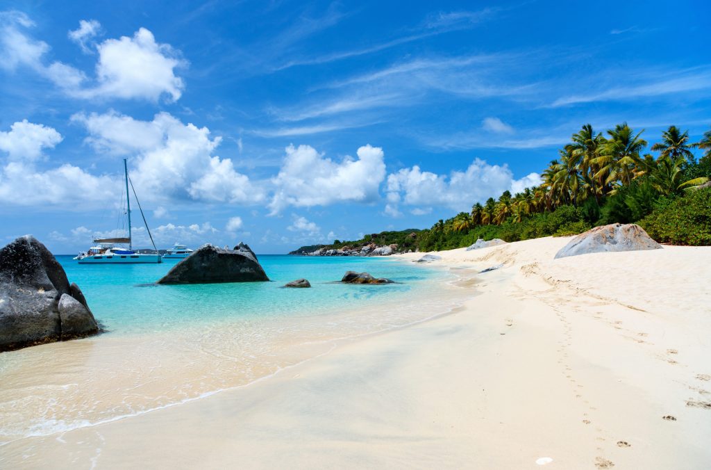 yachtfleet