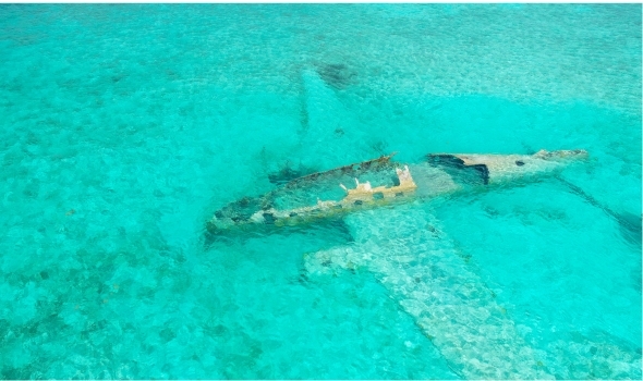 <span>Day 5:</span> Compass Cay - Nurse Sharks & Bonefish (7.5 nm)