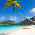 A palm tree overhanging crystal-clear water on Deadman's Beach, Peter Island, British Virgin Islands, with a serene beach resort in the background.