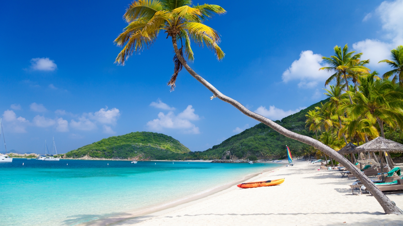 A palm tree overhanging crystal-clear water on Deadman's Beach, Peter Island, British Virgin Islands, with a serene beach resort in the background.