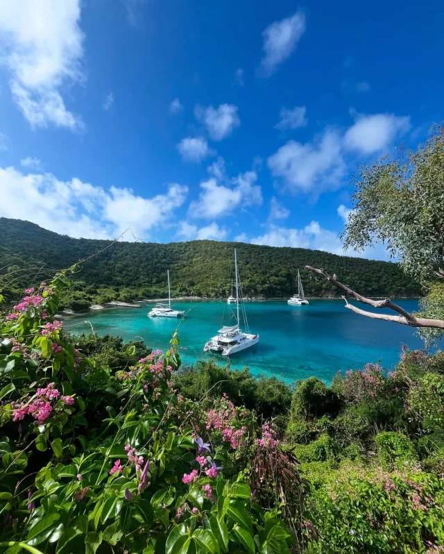 ✨ British Virgin Islands Bliss ✨

These views speak for themselves. Pristine turquoise waters, lush green hillsides, and yachts gently swaying at anchor. The BVI is a true paradise for yacht charters – where every anchorage is a hidden gem and every day feels like a dream.

Ready to experience it for yourself? Let’s plan your escape. Link in bio to get started. 🌴⛵️